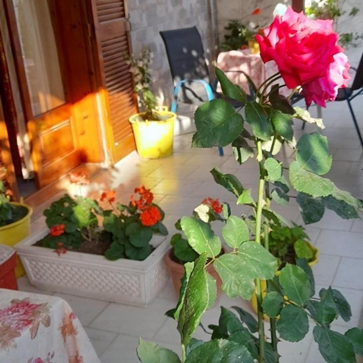 Stella Rooms Sunrise Stavros  Exterior foto